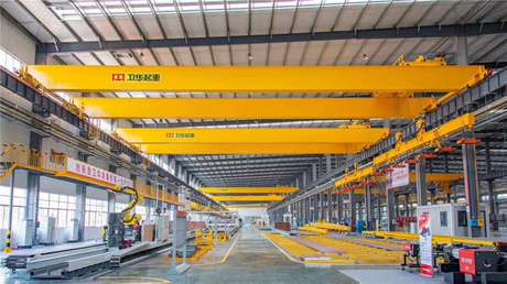 Crane System/Crane/Rigging/Electronic Weigher